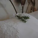 Apricus Boutique Apricale