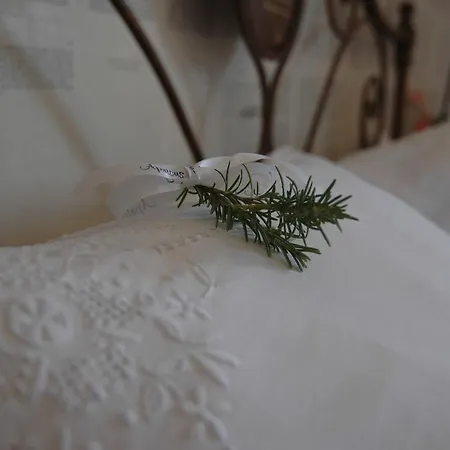 Apricus Boutique Apricale