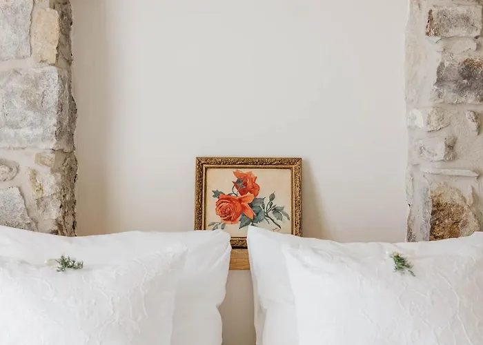 Apricus Boutique 4*