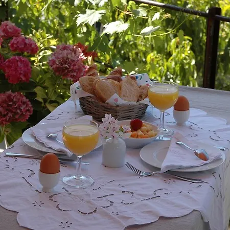Oda ve Kahvaltı Apricus Boutique 4*