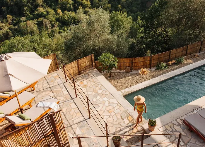 Bed & Breakfast Apricus Boutique