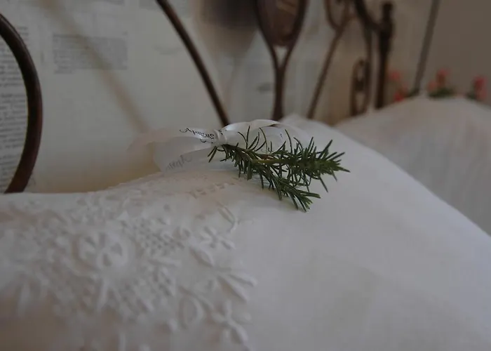 Apricus Boutique Apricale